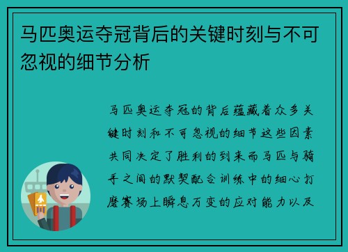 马匹奥运夺冠背后的关键时刻与不可忽视的细节分析 马匹奥运夺冠背后的关键时刻与不可忽视的细节分析