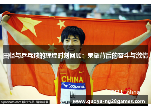 田径与乒乓球的辉煌时刻回顾：荣耀背后的奋斗与激情